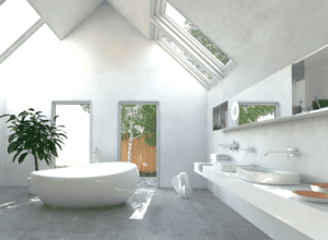 Read more about the article The Importance of Daylight